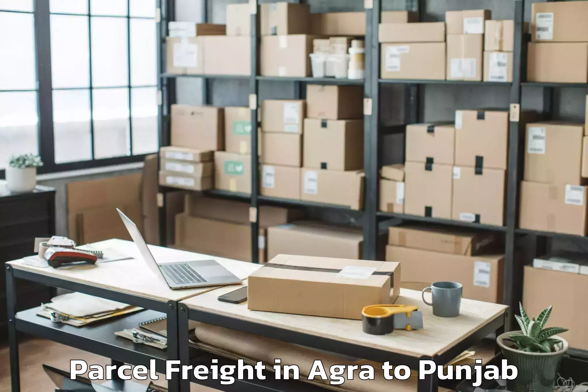 Easy Agra to Malerkotla Parcel Freight Booking